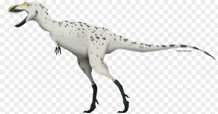 Dinosaur Tyrannosaurus Sinotyrannus Gorgosaurus Aviatyrannis Dryptosaurus PNG