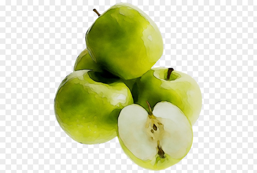 Granny Smith Apple Image Transparency PNG