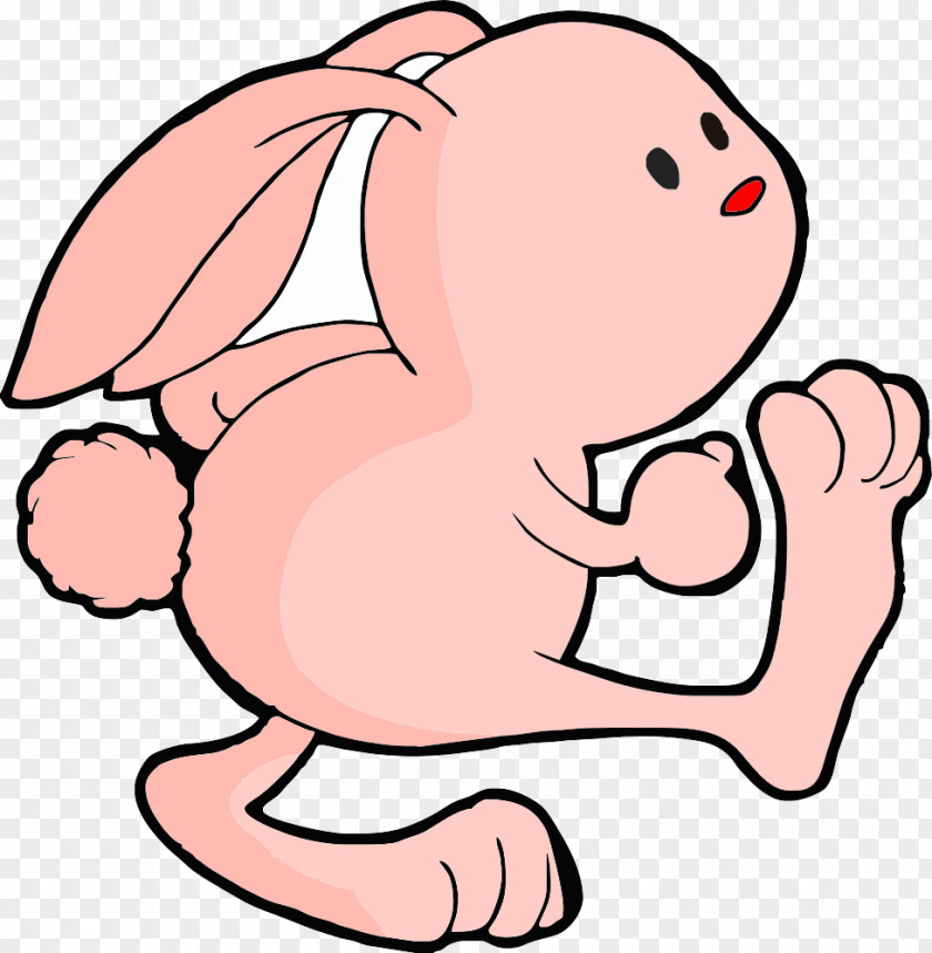 Running Rabbit Domestic Pig Dog Cartoon PNG
