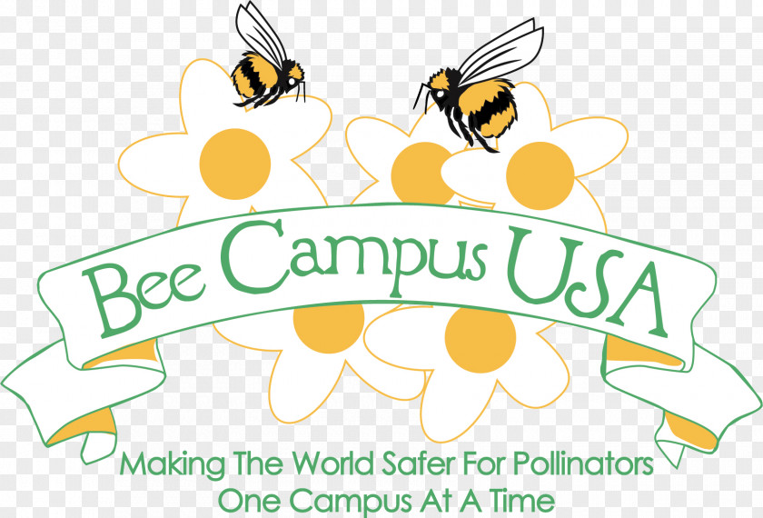 Bee Southern Oregon University Honey Portland Community College Of Illinois At Chicago PNG