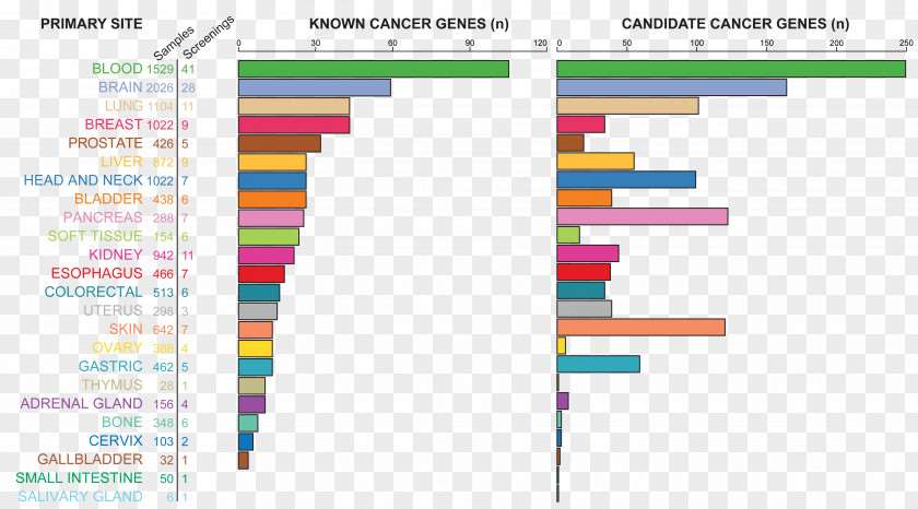 Cancer Cell Germ Map Relapse Network Of Genes Pancreatic Cure PNG