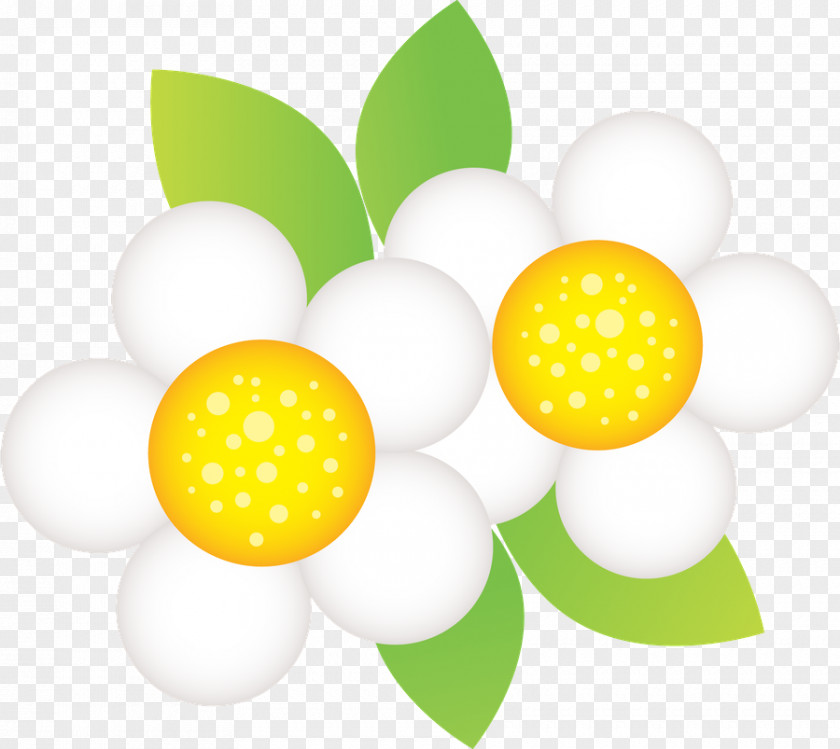 Flower Clip Art Image Paper Drawing PNG