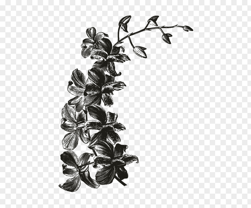 Leaf White Branching Orchids PNG