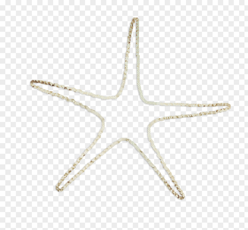 Ocean Starfish Material Do Not Pull The Image Euclidean Vector PNG