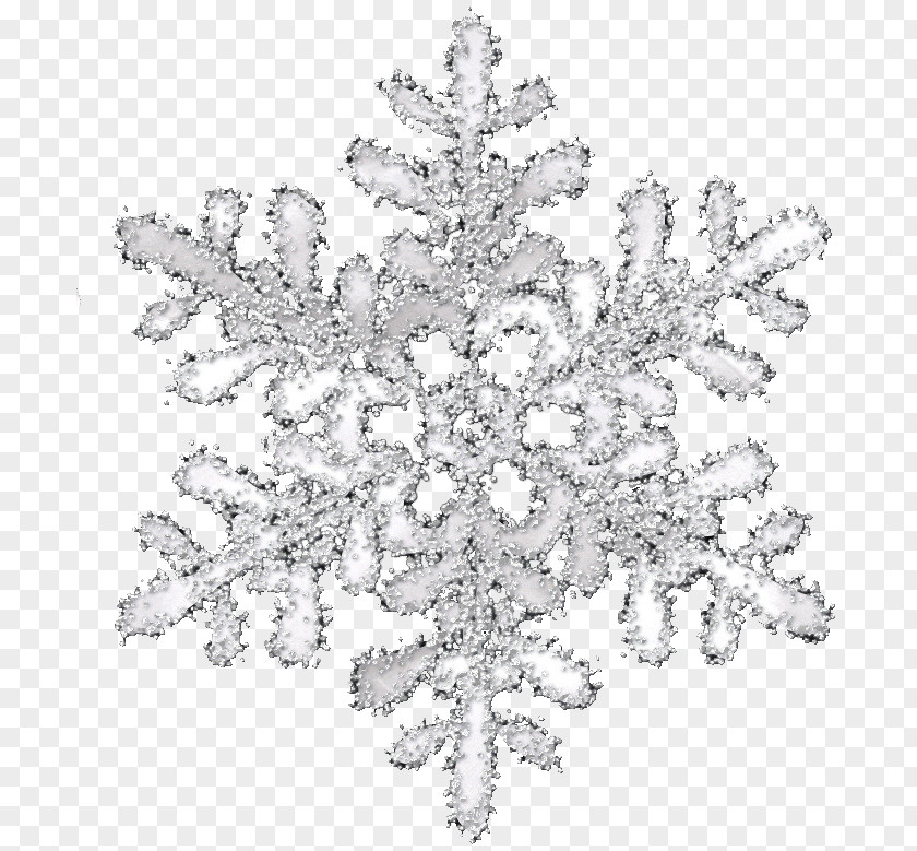 White Transparent Snowflake Pattern Transparency And Translucency Icon PNG