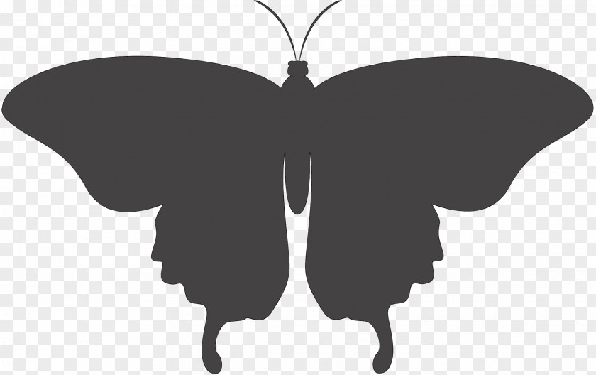 Brush-footed Butterflies Silhouette Lepidoptera Clip Art Drawing PNG