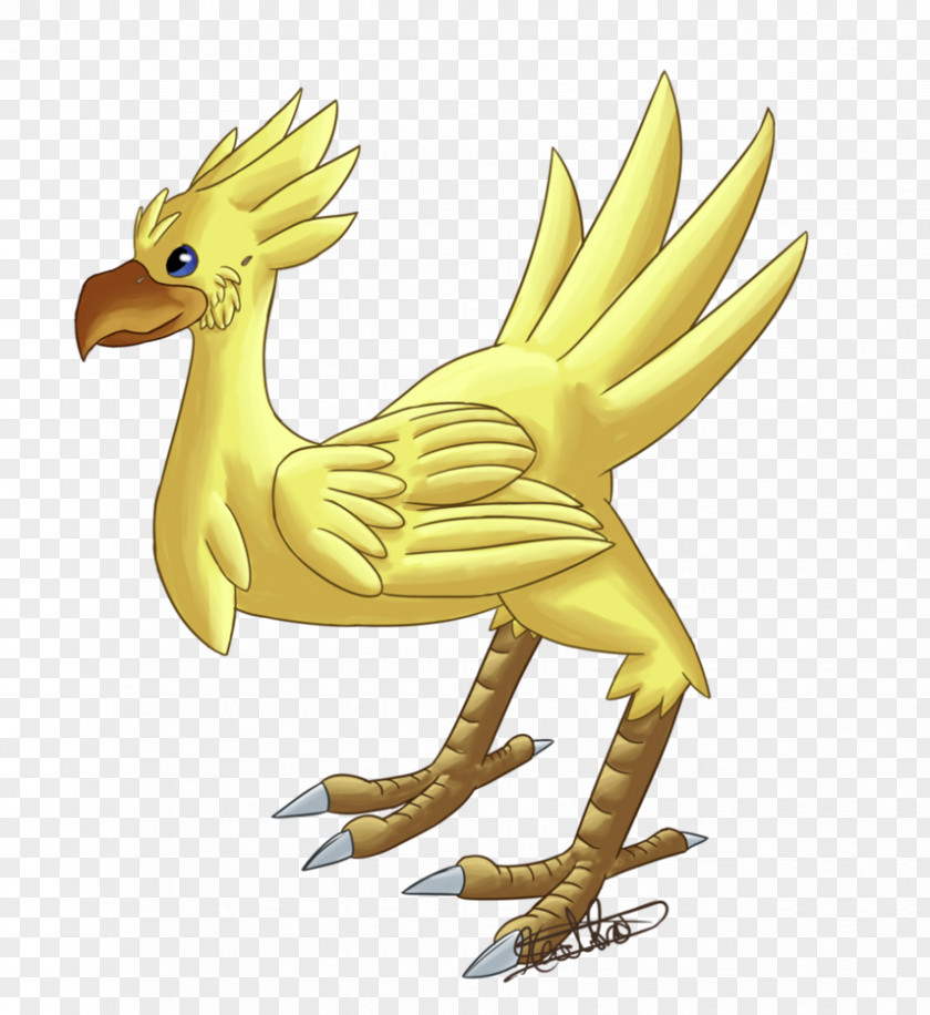 Duck Beak Cartoon Legendary Creature Chicken As Food PNG