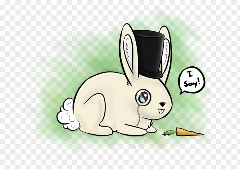 Fancy Line Domestic Rabbit Hare Drawing Art PNG