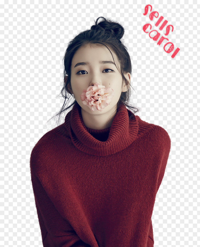 IU South Korea K-pop Korean Female PNG