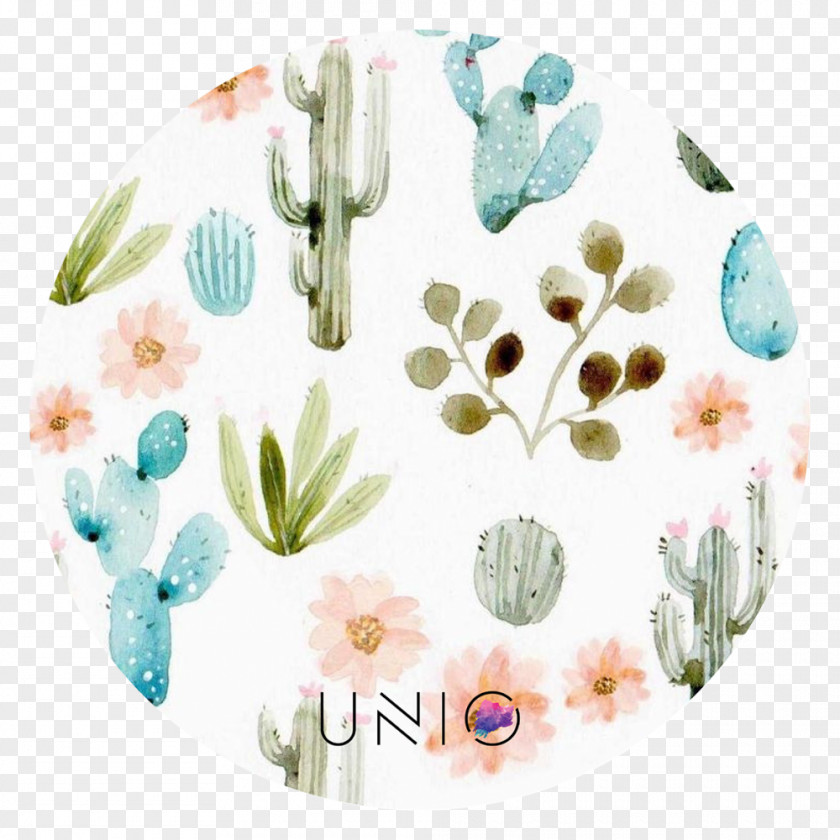 Painting Cactaceae Cacti And Succulents & Watercolor Drawing PNG