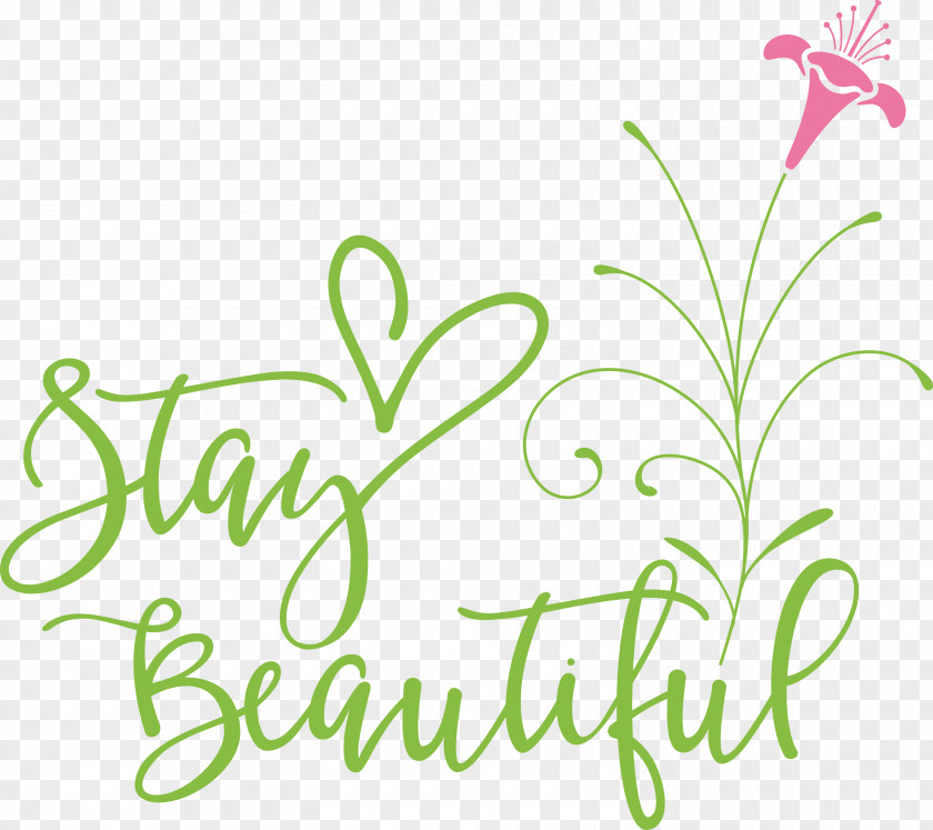 Stay Beautiful Fashion PNG