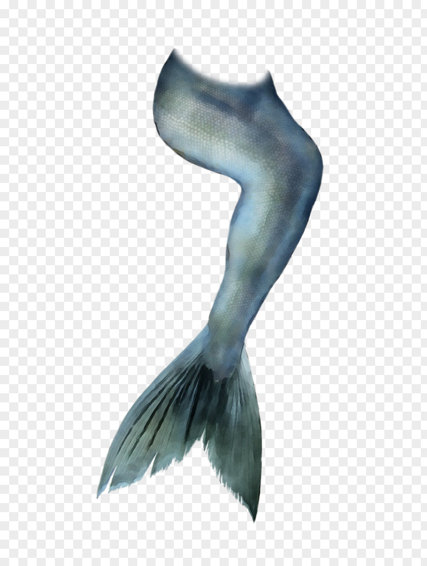 Wing Fish Mermaid Cartoon PNG