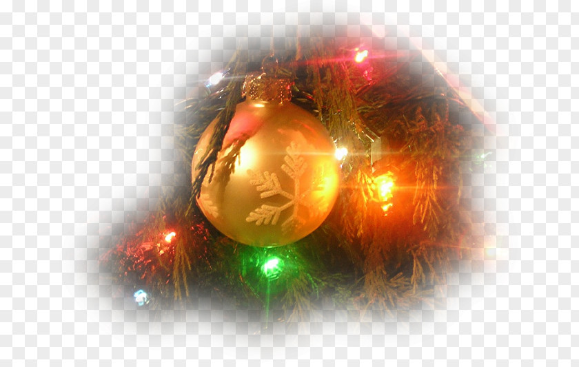 Christmas Ornament Sadness Burgthann SHUTTLE PNG
