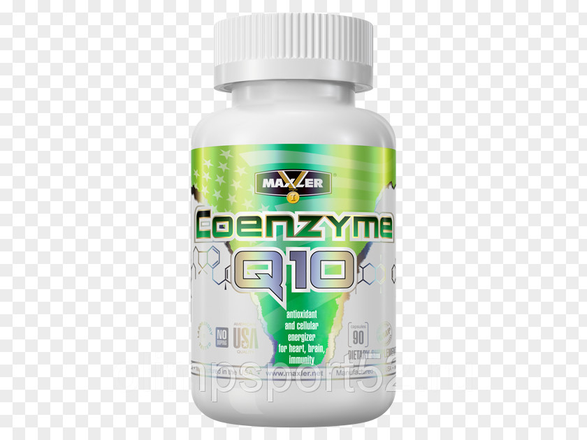 Coenzyme A Dietary Supplement Q10 Conjugated Linoleic Acid Bodybuilding PNG