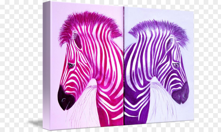 Horse Quagga Zebra Gallery Wrap Canvas PNG