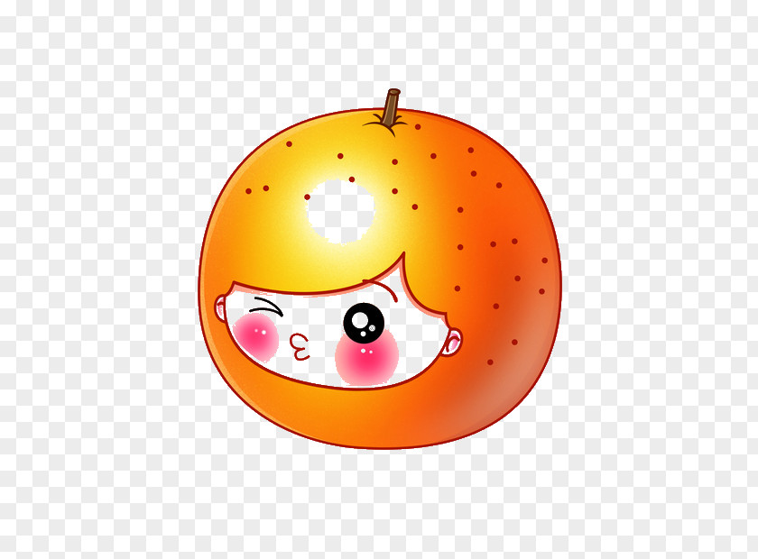 Orange Avatar Cuteness Mandarin Information PNG