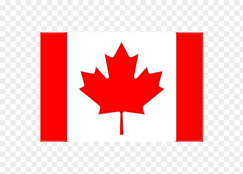 Symbol Carmine Canada Maple Leaf PNG