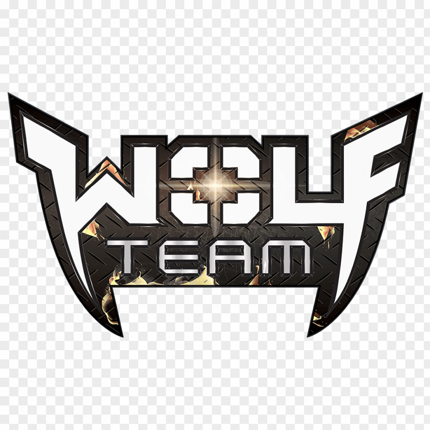 Teamspeak WolfTeam Point Blank Turkey Knight Online Game PNG