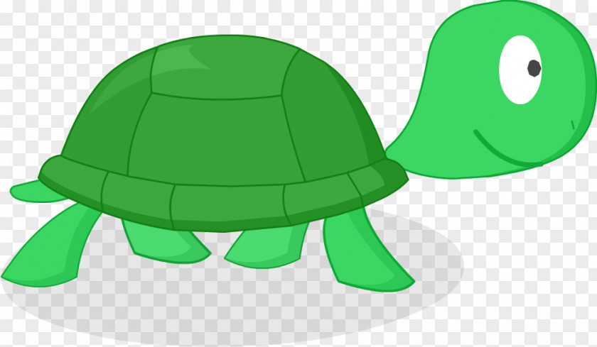 Turtle Wikia Image Mundo Gaturro PNG
