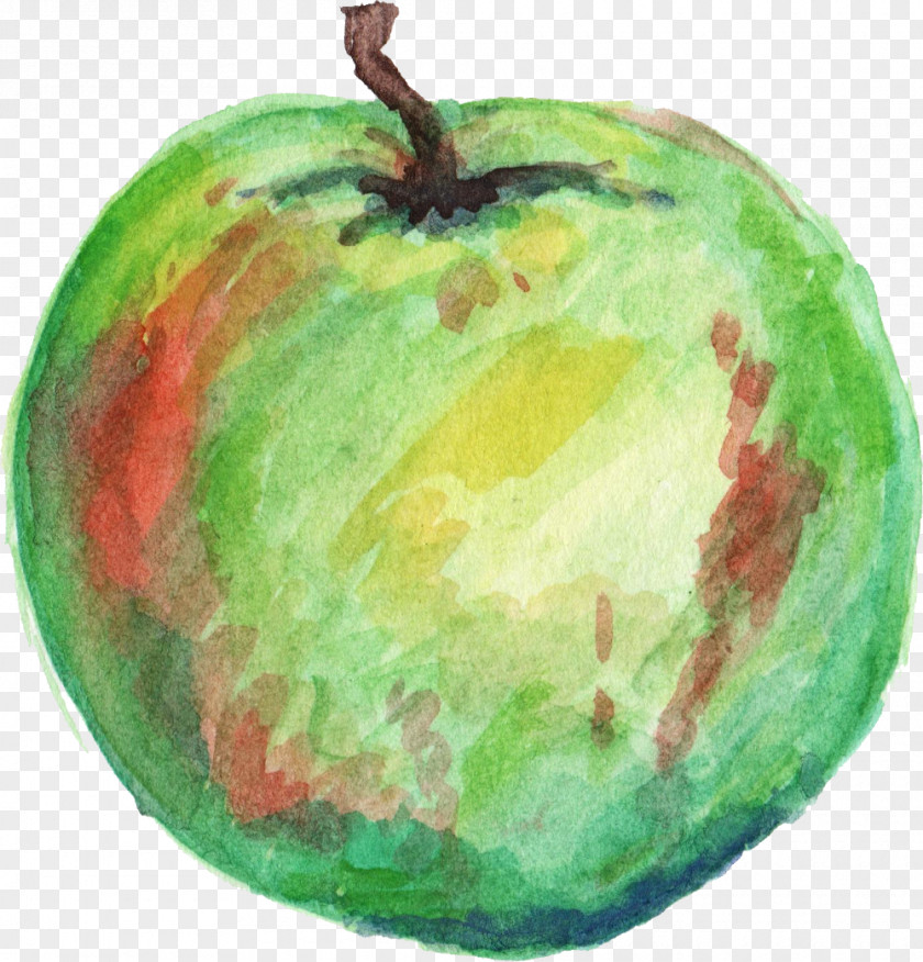 Watercolour Apple Watercolor Painting Fuji PNG
