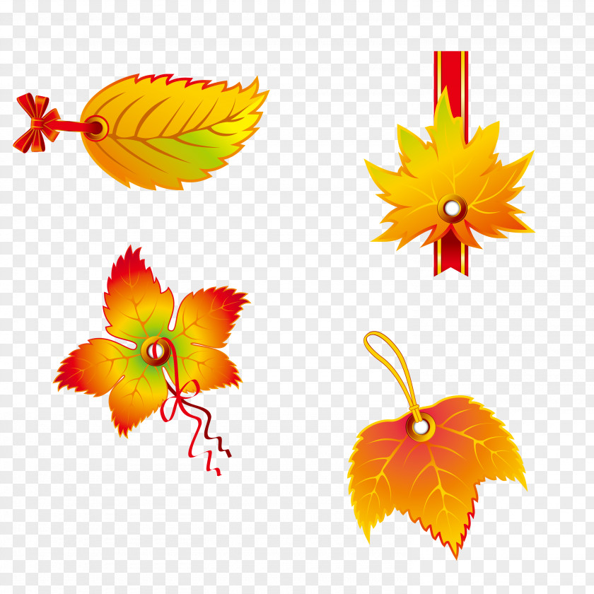 Autumn Leaves Vector Tag Leaf Color Euclidean Clip Art PNG