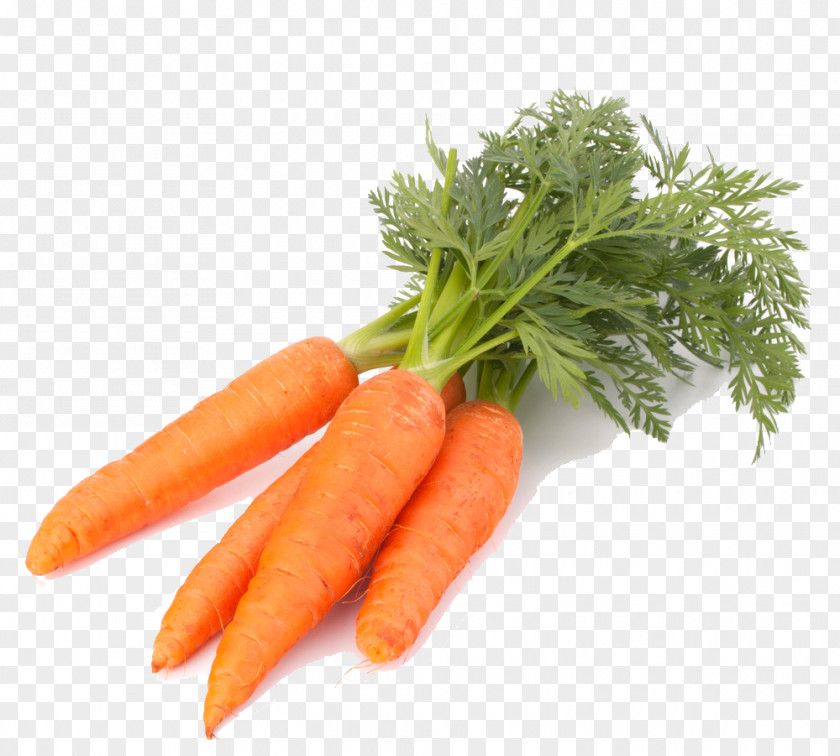 Carrot Vegetable Computer File PNG