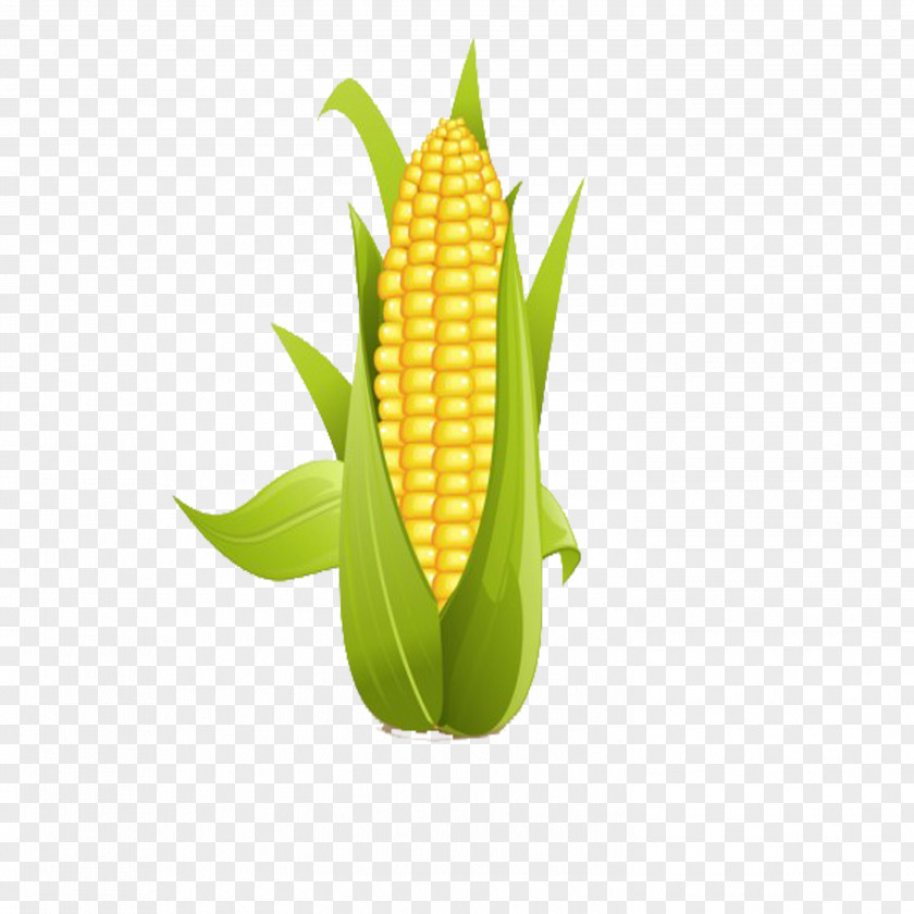 Corn On The Cob Sweet Clip Art PNG