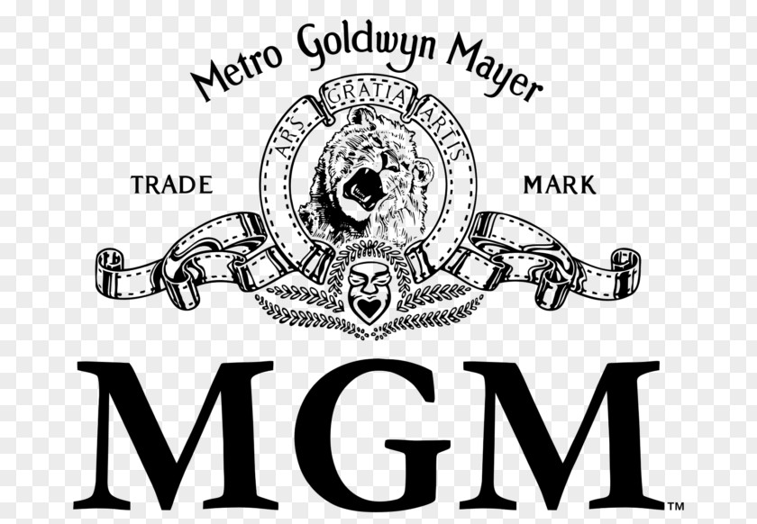 Lion Metro-Goldwyn-Mayer Leo The Logo MGM Television PNG