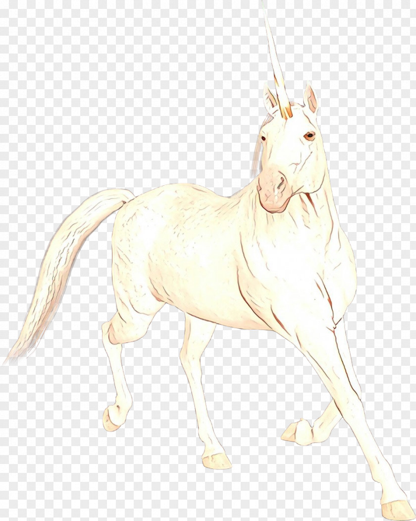 Stallion Tail Unicorn Drawing PNG