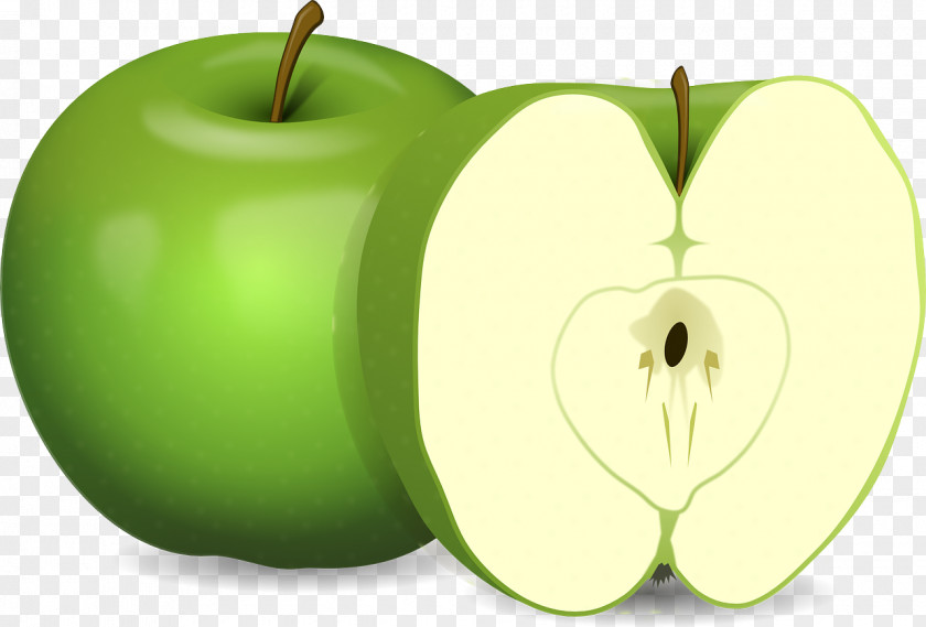 Apple Slices Candy Granny Smith Clip Art PNG