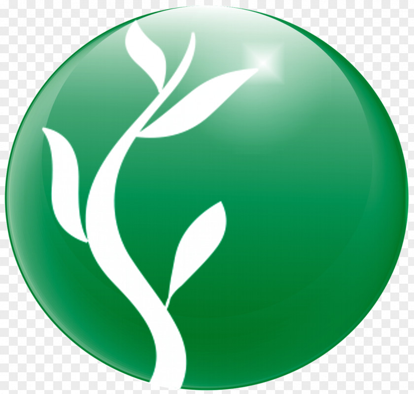 Biodiesel Graphic Company Organization AgroPlan-UFV Junior Enterprise Consulenza PNG