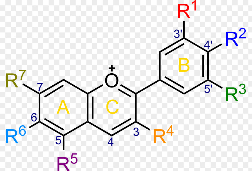 Ether Scutellarein Chemical Compound Metacresol Purple Organic PNG