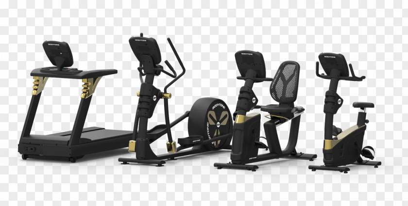 Gold's Gym Fitness Institute Elliptical Trainers Centre Exercise Equipment Bikes Machine PNG