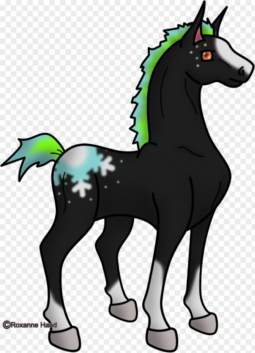 Mustang Pony Foal Stallion Colt PNG