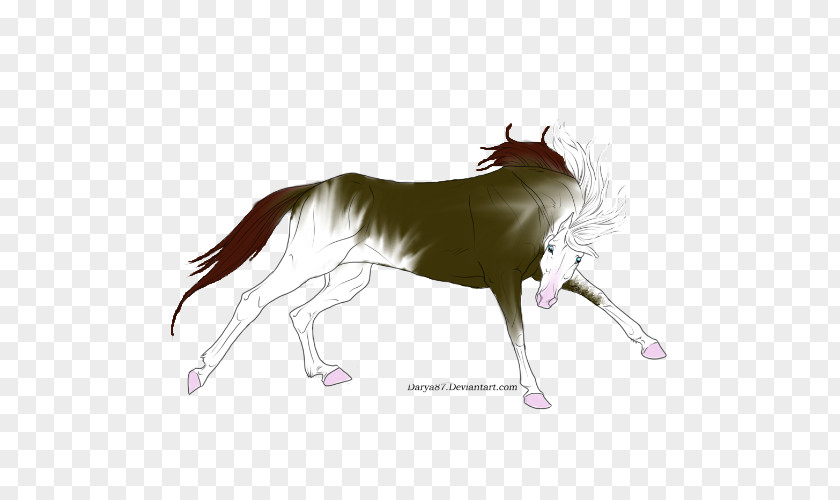 Shinning Stars Mustang Stallion Pony Dog Horse Tack PNG