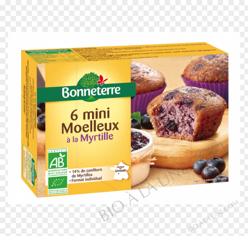 Cake Molten Chocolate Organic Food Fruitcake Bilberry Dried Fruit PNG