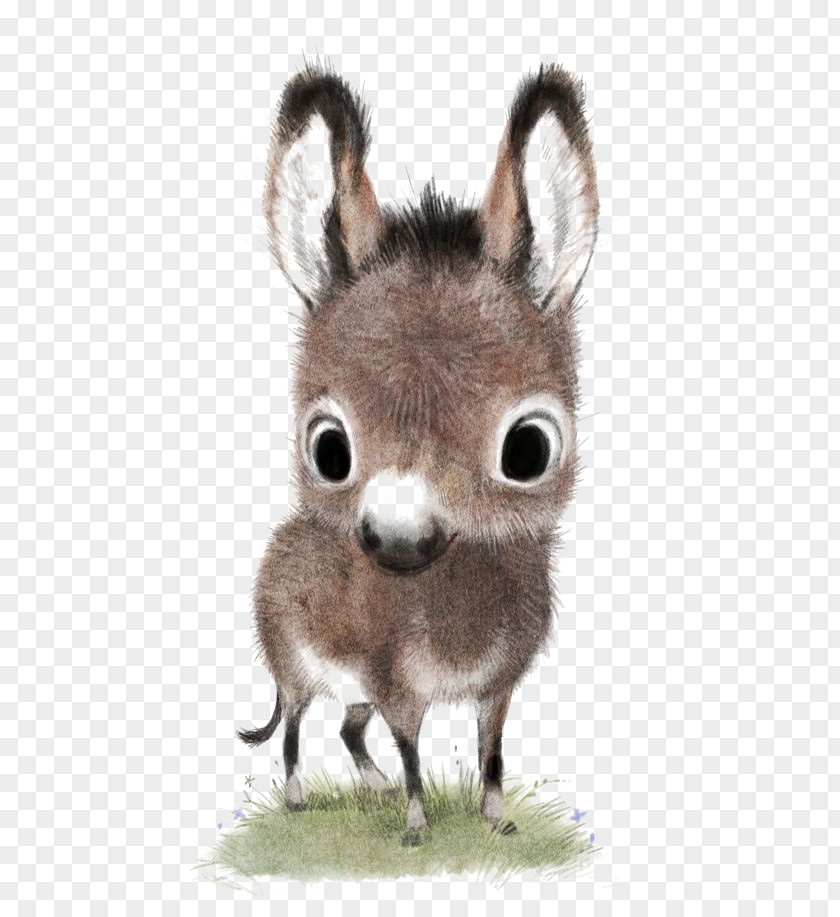 Donkey Drawing Cuteness Animal Illustration PNG