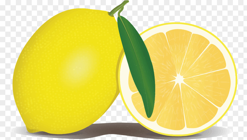 Lemons Cliparts Sweet Lemon Juice Rangpur Meyer PNG
