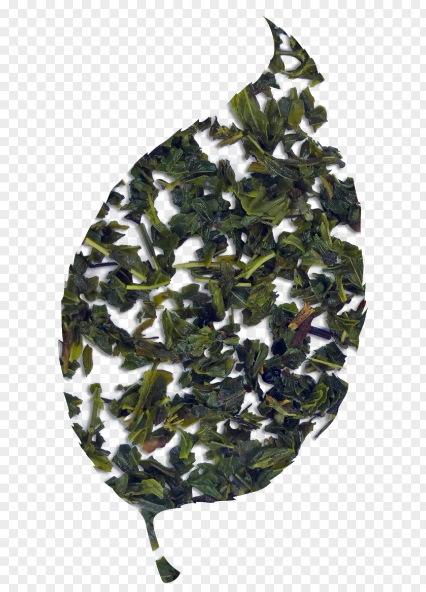 Pepermint Leaf Camouflage PNG