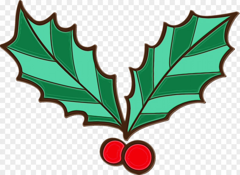 Woody Plant Plane Holly PNG