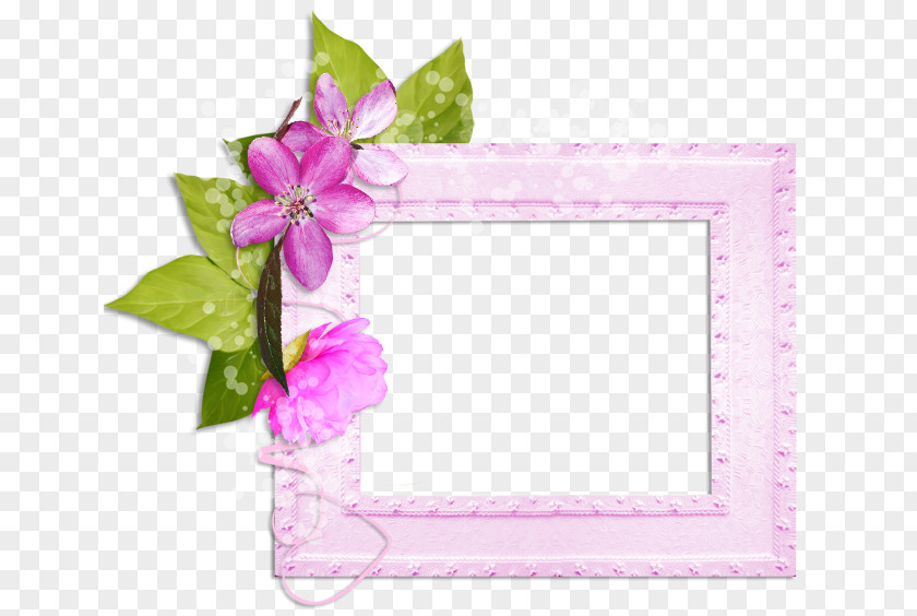Design Picture Frames Floral PNG