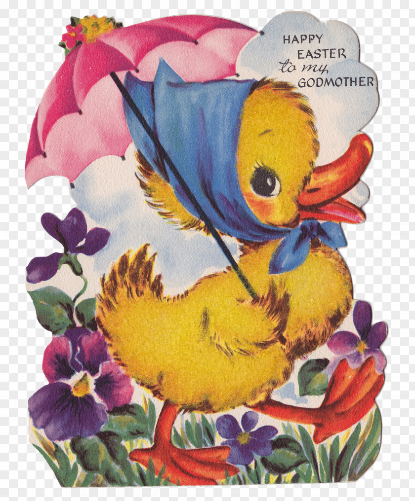 Easter Bunny Water Bird Chicken Goose Cygnini PNG