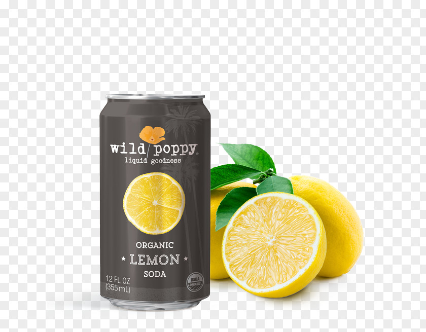 Lemon Soda Lemon-lime Drink Juice Fizzy Drinks Lemonade PNG
