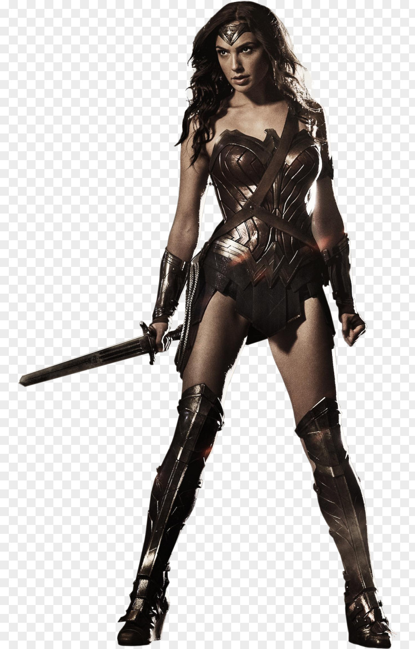 Mulher Diana Prince Aquaman Batman Cyborg Costume PNG
