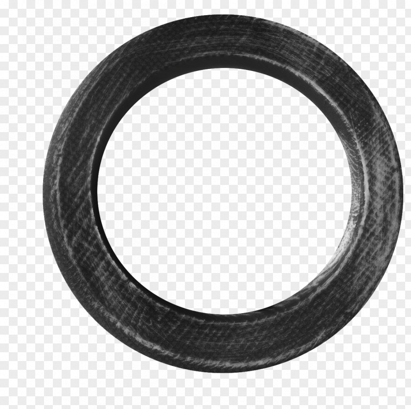 Olympic Rings Seal Gasket Clamp Flange PNG