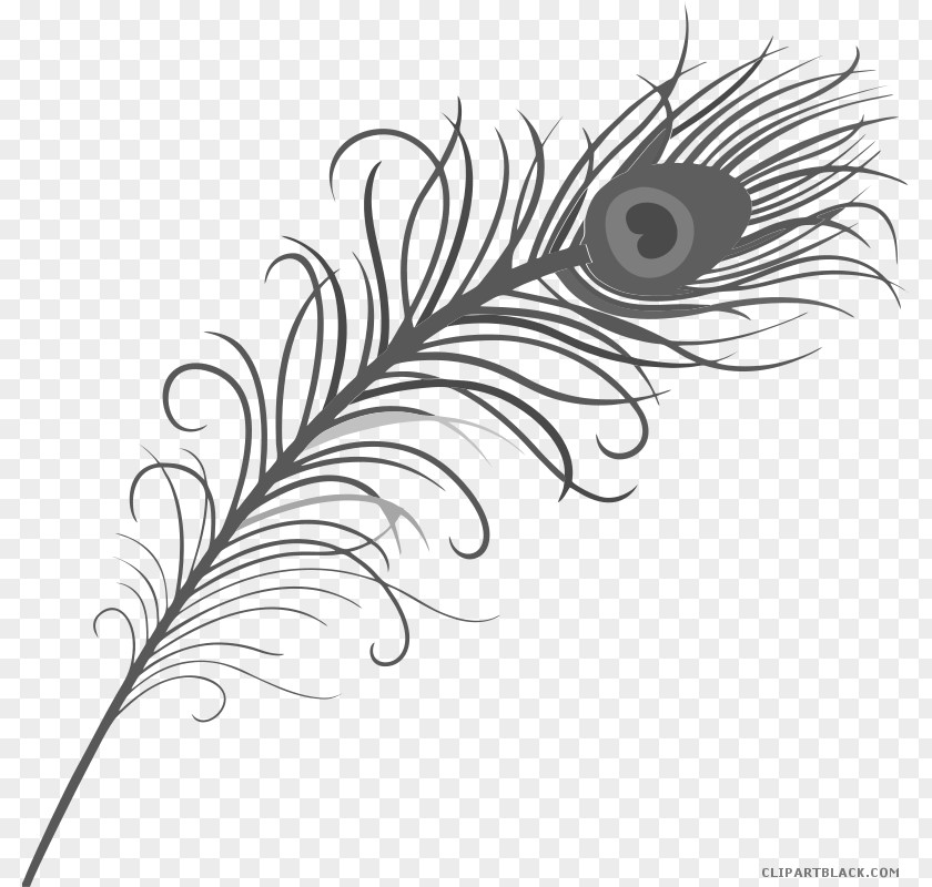 Feather Asiatic Peafowl Clip Art Tattoo PNG