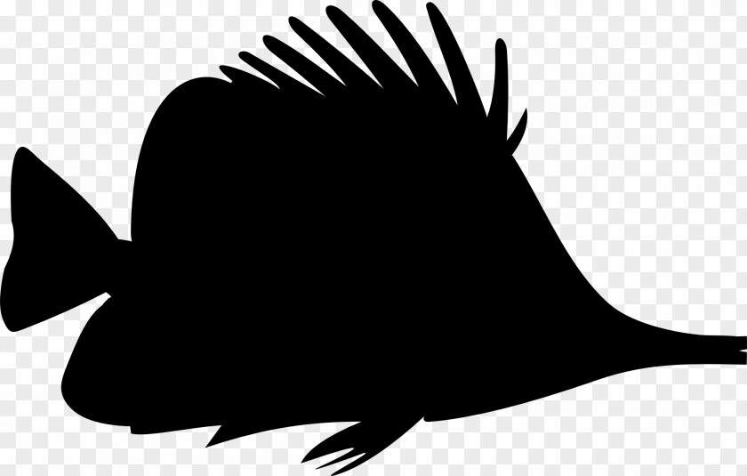 Fish Clip Art Silhouette Drawing PNG