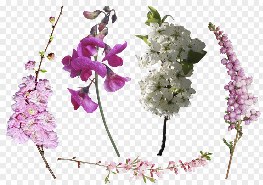Foreground Tree Flower Overlay Petal PNG
