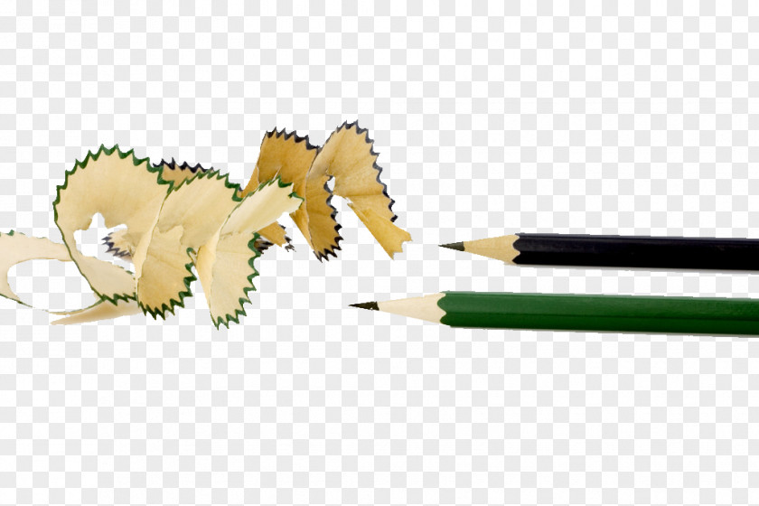 Pencil Colored Advertising Creativity Photography PNG
