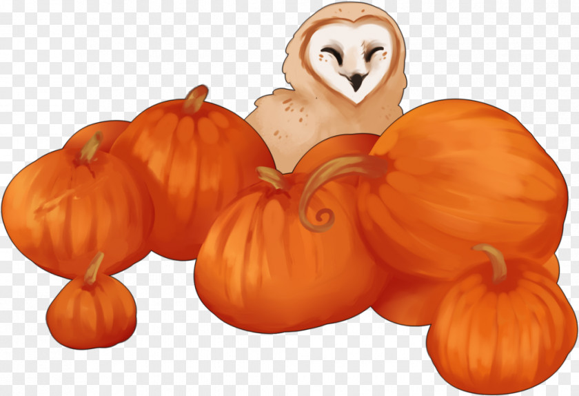 Pumpkin Clip Art Illustration Gourd Winter Squash PNG